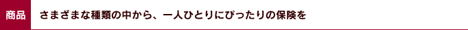 商品：さまざまな種類の中から、一人ひとりにぴったりの保険を